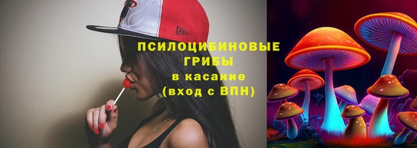 ГАЛЛЮЦИНОГЕННЫЕ ГРИБЫ Абдулино