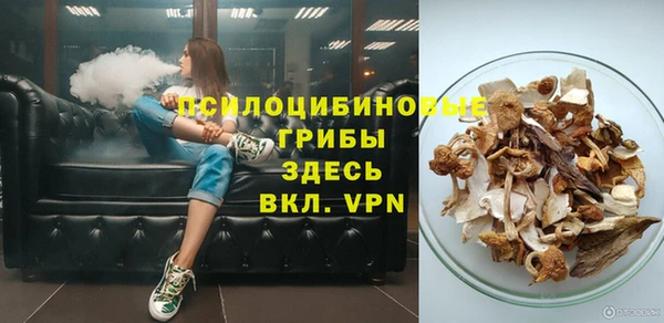 ГАЛЛЮЦИНОГЕННЫЕ ГРИБЫ Абдулино